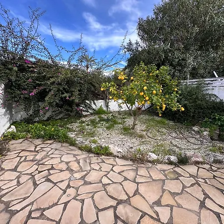 Santa Rosa * Javea